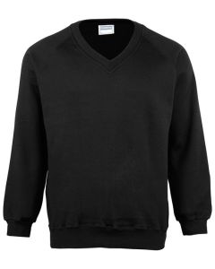 Coloursure V-Neck Sweatshirt – Reactive Dyed Colour, Raglan Sweatshirt with Cover Seamed Mitred V, Welt and Raglan