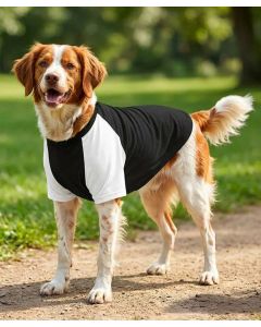 Portman & Pooch Dog’s T-Shirt – Raglan Sleeves, Pullover, Adjustable Back Leg Straps, Reinforced Slit for Harness