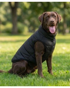 Portman & Pooch Dog’s Puffer Jacket – Pet Puffer Coat, Nylon Shell Construction, Insulated Fill, Harness-Compatible Winter Design