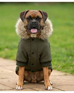 Portman & Pooch Dog’s Parka Jacket – Quilted Pet Parka Coat, Faux Fur Trim and Insulated Winter Outerwear