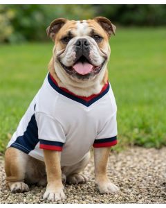 Portman & Pooch Dog’s Football T-Shirt – Reinforced Harness Loop, Adjustable Back Leg Straps, Pullover