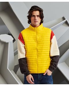 2786 Tribe Fineline Padded Gilet - Polyester Fill, Concealed Zipped Pockets