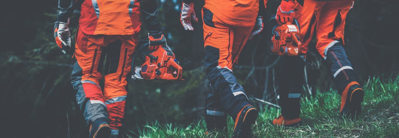 men walking in the forest holding chainsaw and wearing outdoor workwear clothes